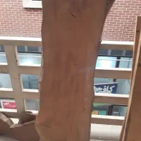 اسلب گردو مناسب میز|عمدهفروشی|گنبد کاووس, |دیوار