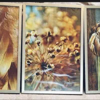 تابلو دکوراتیو