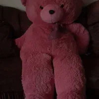 خرس|اسباب‌بازی بچه|کیش, |دیوار