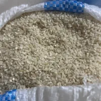 نیم دانه هاشمی