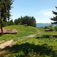 گردشگری و سفر