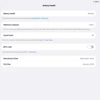 آیپد پرو M4 2024|تبلت|بوشهر, |دیوار