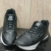 کفش|کیف، کفش، کمربند|کازرون, |دیوار