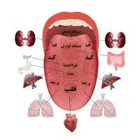 درمان تضمینی وقطعی مشکلات رحم|آرایشی، بهداشتی، درمانی|قم, نیروگاه|دیوار