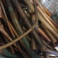 ضایعات کولری