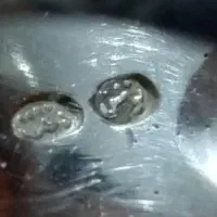 انگشتر عقیق یمنی سرخ عیار بالا کار دست نقره 925|جواهرات|مشهد, دهشک|دیوار