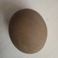 جواهری مشکوک