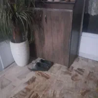 جاکفشیامدیاف