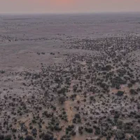 راهنمای برا ازدواج