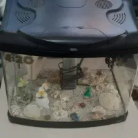 آکواریوم مشکی|ماهی|پرند, فاز ۴|دیوار