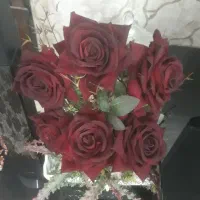 راهنمایی کنید