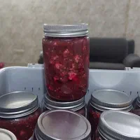 ترشی شمالی|خوردنی و آشامیدنی|مشهد, جنت|دیوار