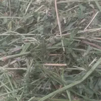 پرس یونجه خشک