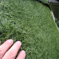 چمن دست دوم نو وفنس چمنی|مصالح و تجهیزات ساختمان|تهران, نعمتآباد|دیوار