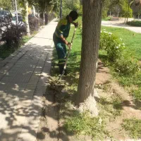 هرس درختان کاشت کودهی واکاری|خدمات باغبانی و درختکاری|تهران, سبلان (لشگر)|دیوار