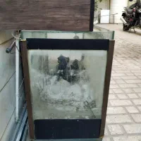 اکواریوم شیشه ۱۰ میل|ماهی|تهران, مسعودیه|دیوار