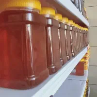 عسل کوهی
