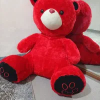 خرس یک متری در حد نو