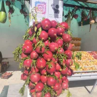 توراختتامیه جشنواره انار فاروق جمعه 23 آبان