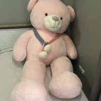 خرس صورتی خارجی