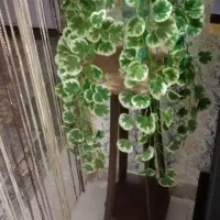 پای گلدون با گل ۳۵۰۰