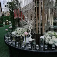 باغ وتالار عمارت قصر طلایی|خدمات پذیرایی، مراسم|کرج, باغستان|دیوار