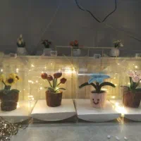 باکس گل مخملی چراغ دار