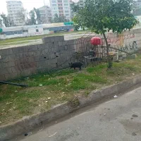 یه عدد النگو به قیمت تابلو ۲ درصد بالا