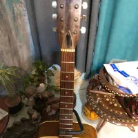 گیتار آکوستیک|گیتار، بیس، امپلیفایر|تهران, کاج|دیوار