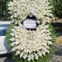 خدمات انواع گل تبریک تسلیت افتتاحیه|خدمات پذیرایی، مراسم|ری, صالح‌آباد شرقی|دیوار