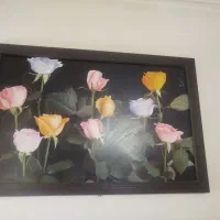 تابلو|تابلو، نقاشی، عکس|زاهدان, |دیوار