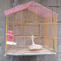 ۴تاقفس پرنده|لوازم جانبی حیوانات|ارومیه, |دیوار