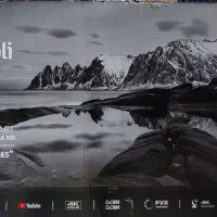 تلویزیون 65اینچ ایوولی 4K ULTRA HD|تلویزیون و پروژکتور|سراوان, |دیوار