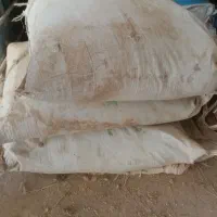 کود سیاه|گل و گیاه طبیعی|زهک, |دیوار