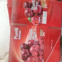 تعداد ۷۰۰ عدد کارتون بسته بندی نو