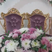لباس مجلس اجاره و فروش سفره عقد