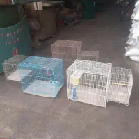 قفس ، قفس قناری ، قفس طوطی ، مرغ عشق|لوازم جانبی حیوانات|رباطکریم, نوده|دیوار