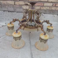 لوسترشیش شاخه.