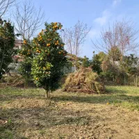 ۳۶۰.۷۵ متر زمین در منطقه لیماک