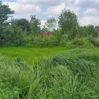 فروش زمین ۵۳۲ متری در پاکت سازی جاده ش آزموده|فروش زمین و ملک کلنگی|رشت, حومه رشت|دیوار