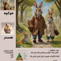 یونجه|لوازم جانبی حیوانات|کرج, المهدی|دیوار