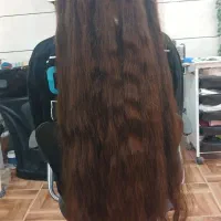 مرکز خرید مو|خدمات آرایشگری و زیبایی|کلاله, |دیوار