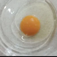 تخممرغ زرده زعفرانی فوق لوکس