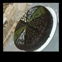 انواع کیک های وانیلی،کیک خیس،کیک خامه ای|خوردنی و آشامیدنی|آذرشهر, |دیوار