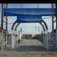 نیروی مادریار