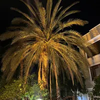 ۶۸ متری ۲ خوابه (نوبنیاد ۲)