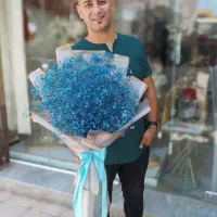 تشریفات مجالس عروسی و تم تولد|خدمات پذیرایی، مراسم|عطاملک, |دیوار