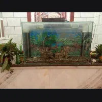 آکواریوم بزرگ با لوازم