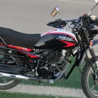 همتاز شکاری ۲۰۰