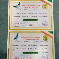 آلمانی مسافتی درجه یک